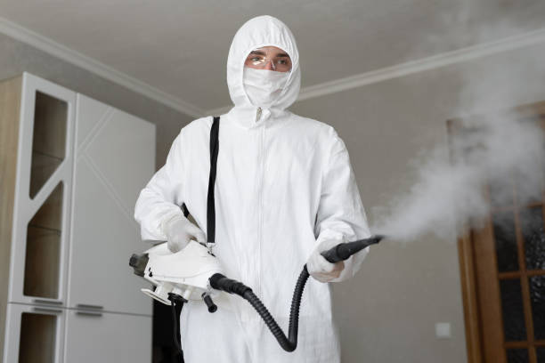 Why You Should Choose Our Mold Remediation Services in Ferdinand, IN